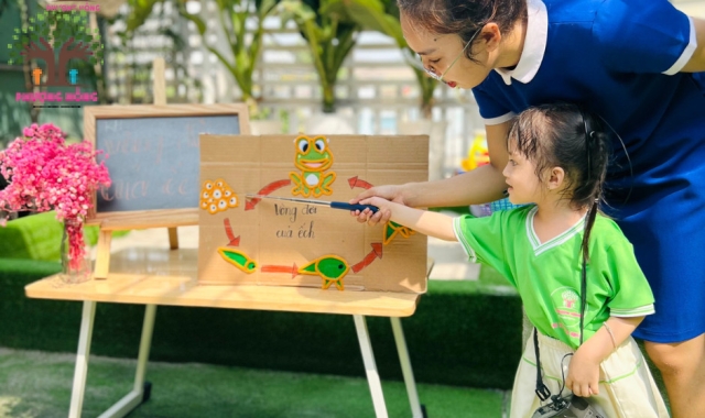 Lớp Strawberry - Khám Phá Vòng Đời Của Ếch